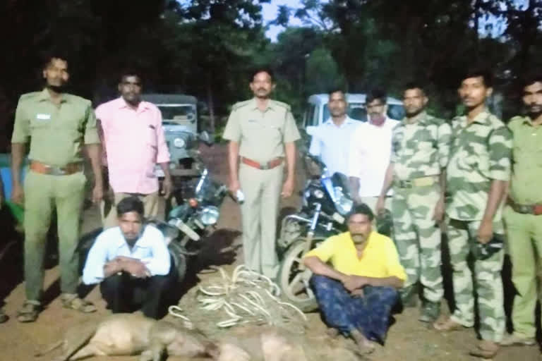 Forest officials arrested the hunters