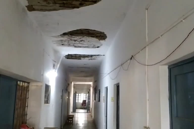 शिक्षा कार्यालय के छत का प्लास्टर गिरा, Roof plaster of education office dropped