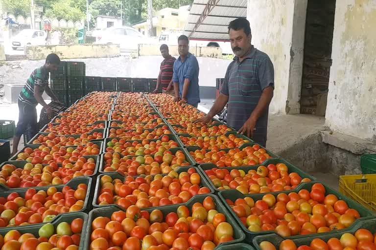 farmers-of-vikasnagar-are-very-happy