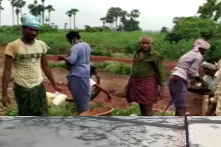 Farmers who have completed the work hand in hand