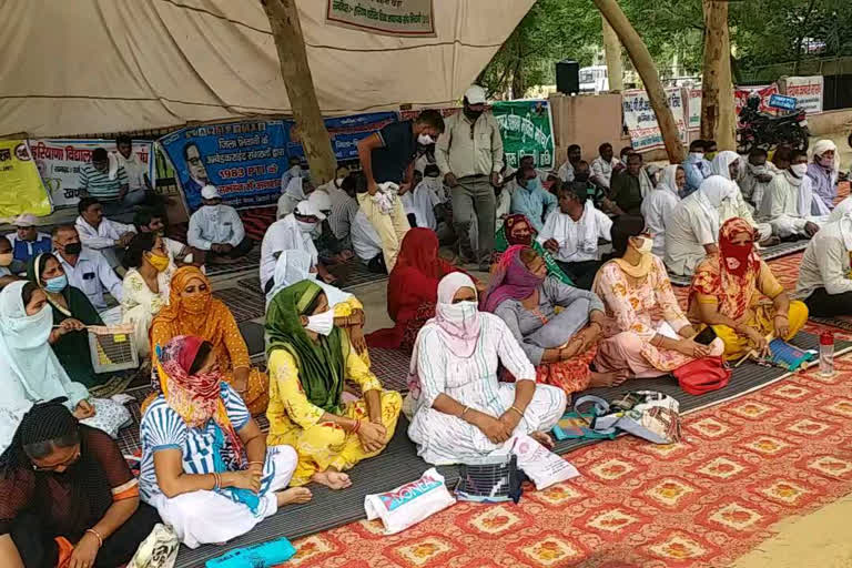 sacked pti teacher protest in bhiwani