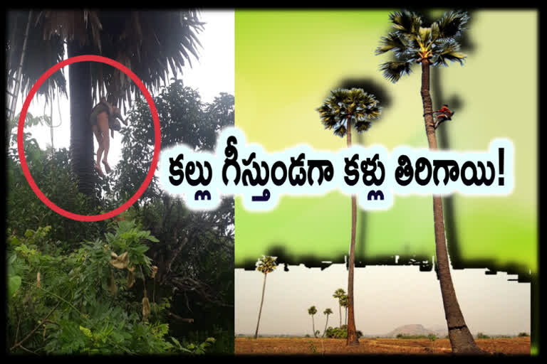 A man Stuck for Two Hours on a Palm tree in Unconscious Manner: A Miracle took Place in Udupi