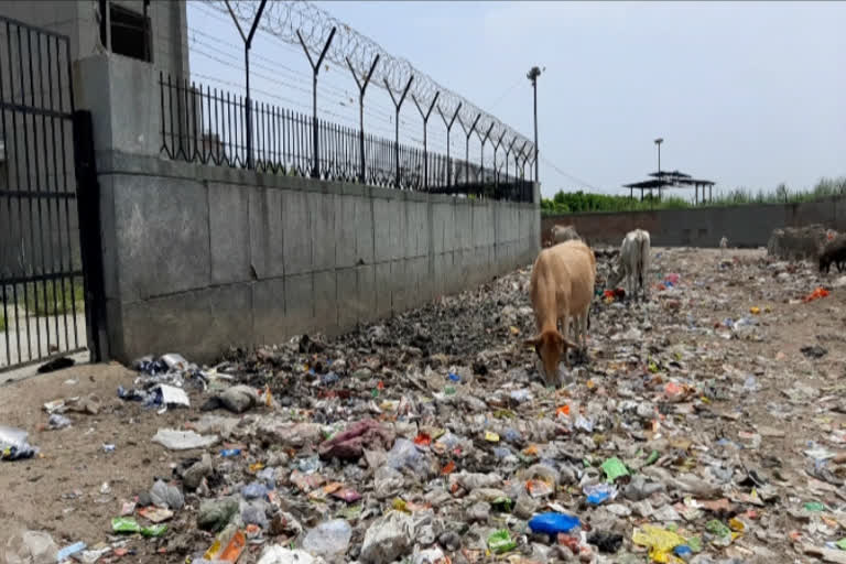 jj colony people facing problem due to uncleanness