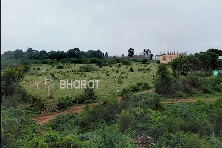 Raining in part of kustagi..dry land turned slightly as Malnad