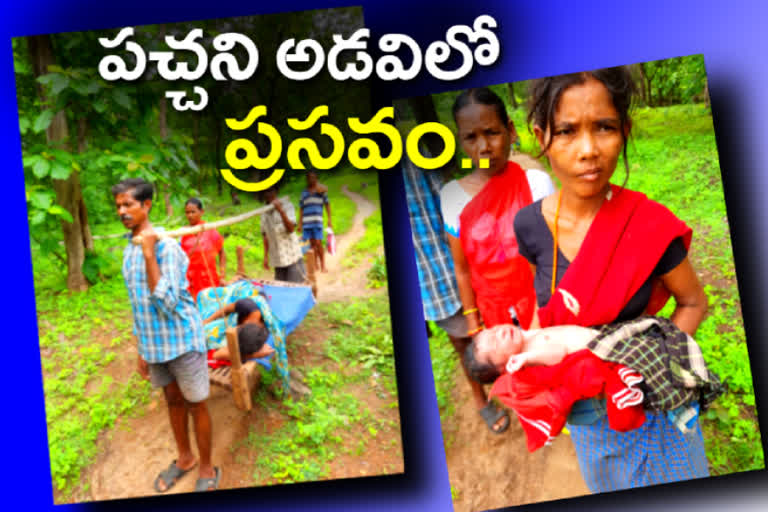 pregnant delivered in forest at badradri kothagudem