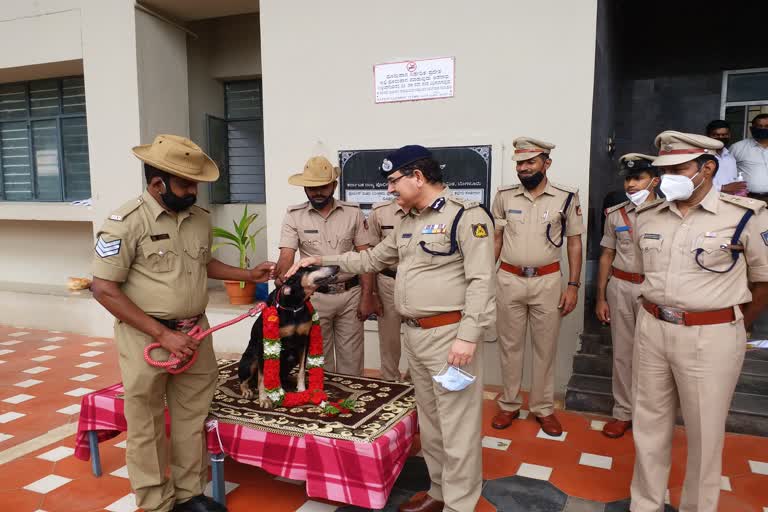 police-dog-tumga-got-honored-by-adgp