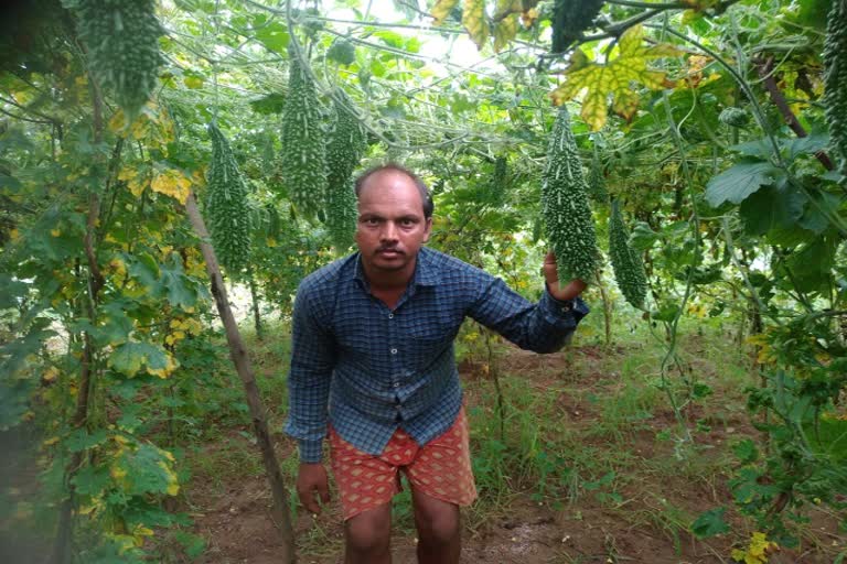 vegetable farming in noonbatta