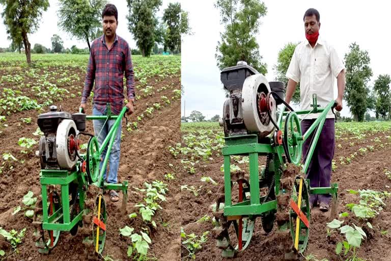 nashik farming