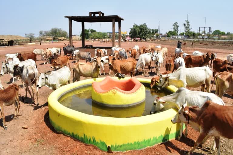 preparations for godhan nayay yojna