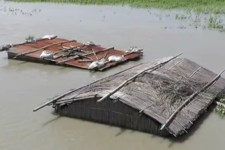 Dangerous flood at Jania and Baghbar Barpeta