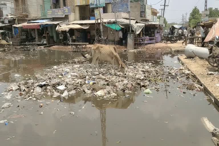 Bhopalgarh Bus Stand, rain in Bhopalgarh