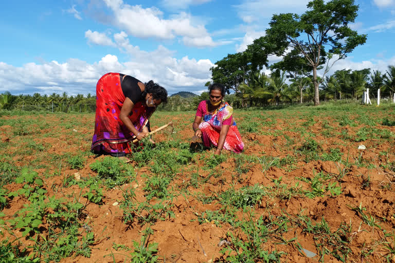 -Karnataka These Sexual Minorities are the Role model For Others