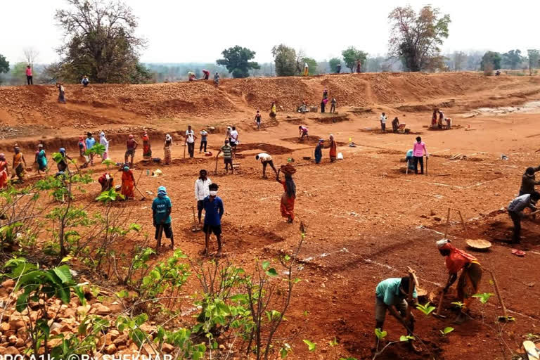 Employment Camps to be organized in all the districts for migrant labourers in chhattisgarh