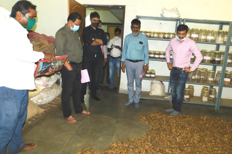 Secretary of Forest Department Manoj Pingua inspected Bhuteshwar Nath Vandhan center in Gariaband