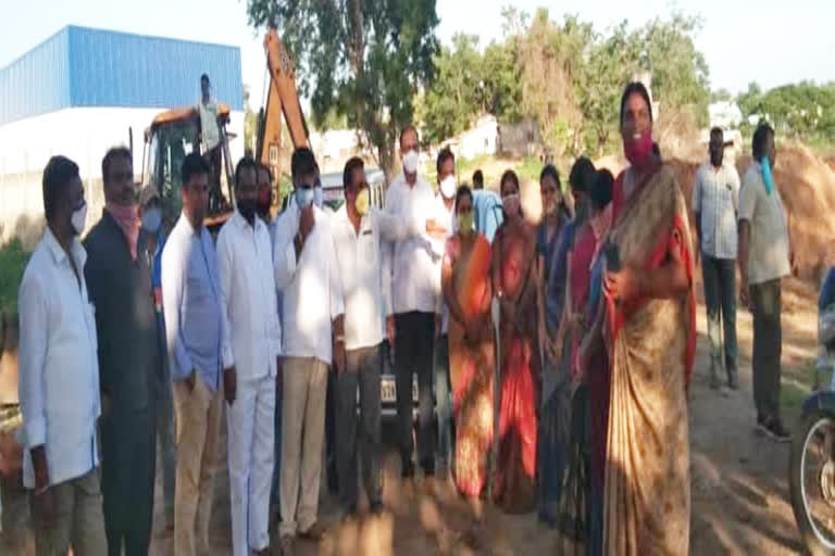 Singareni contribution 10 acres of maze at yellandu