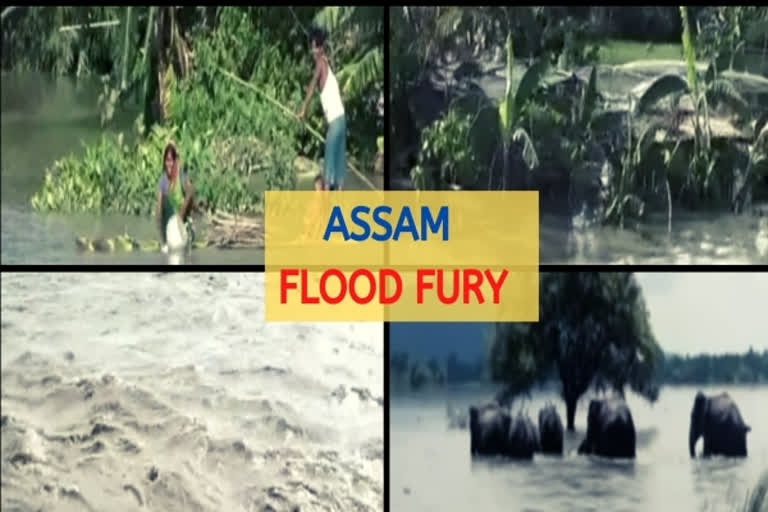 Assam Flood: Death toll reaches 105 as 3 more die, 27.64 lakh people affected