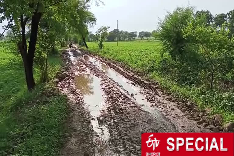 Kashi Khedi East Villagers have been struggling for the road