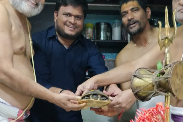 one-tortoise-in-chilukuru-balaji-swamy-temple