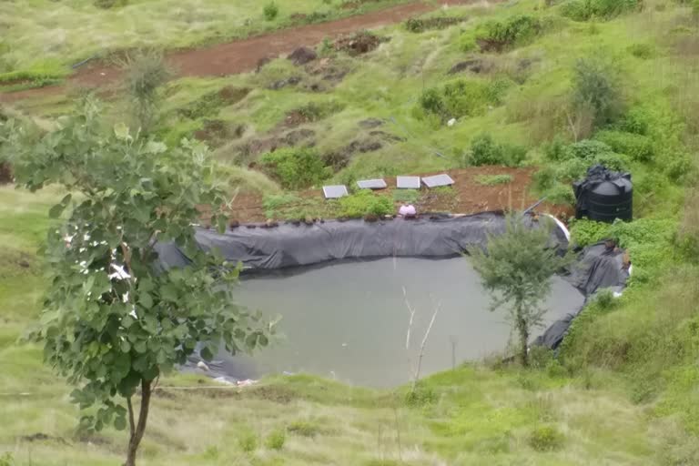 Greenery on barren land