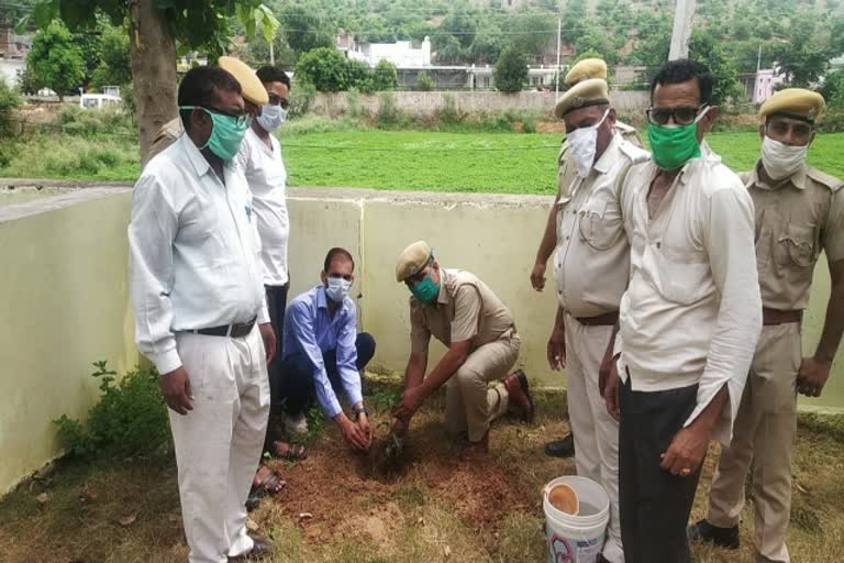 करौली न्यूज, plantation program organized in Karaul