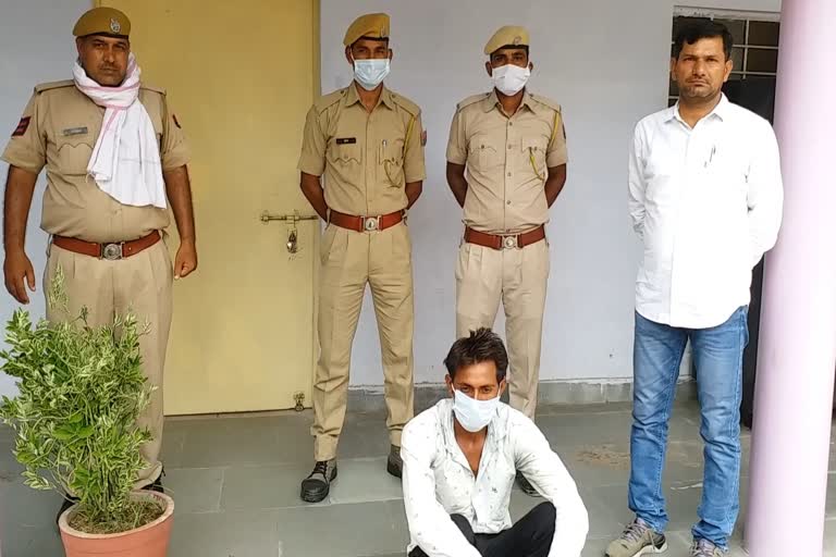 rape accused  arrested, rape in Alwar