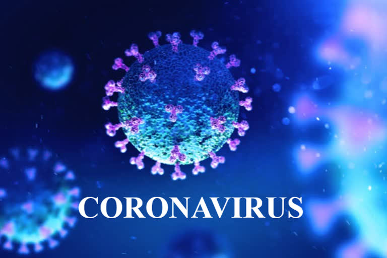 coronavirus positive in mandi