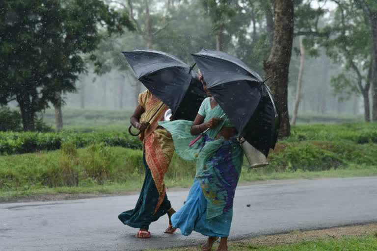 monsoon rainfall in india