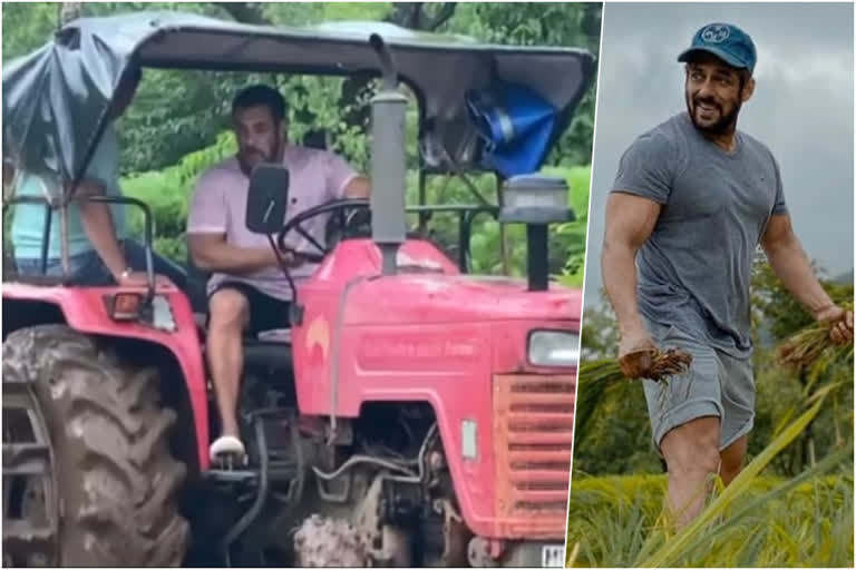 salman khan plough the field on tractor shared farming video