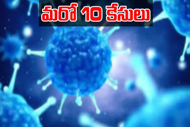 10 more corona positive cases registered in bhupalapalli district