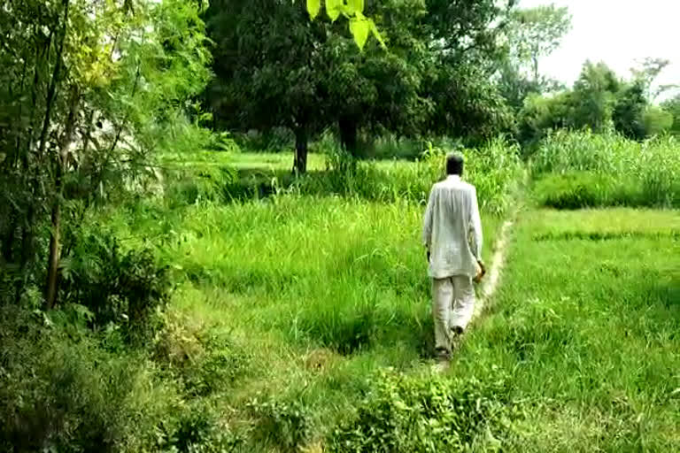 bajawala village