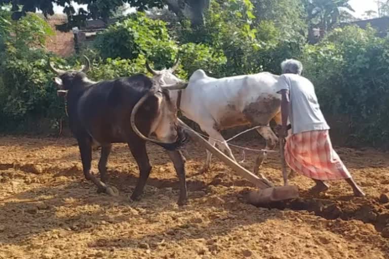 micro irrigation scheme in jharkhand