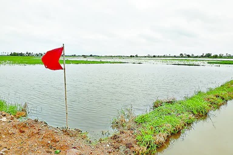 govt hosing lands are fileld with rain water in Vijayawada