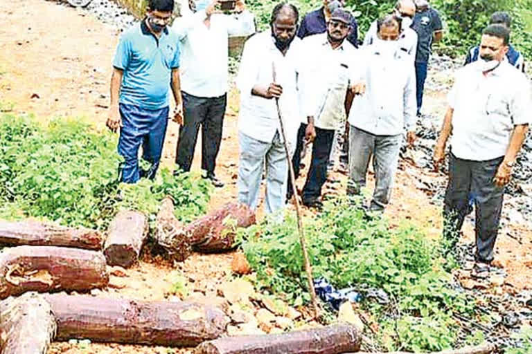 శేషాచలంపై ఎర్రదొంగల కన్ను.. స్థానికుల దన్ను