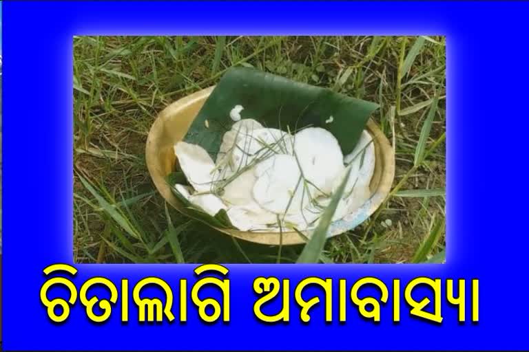 ଶ୍ରାବଣରେ ବୈଶାଖ ତାତି: ଚିଉତ ପିଠା ଦେଇ ମା’ ଲକ୍ଷ୍ମୀଙ୍କ ପାଖରେ ଚଷା ପୁଅର ଗୁହାରୀ