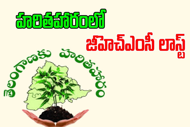 how many crores of plants in the sixth phase haritha haram in telangana