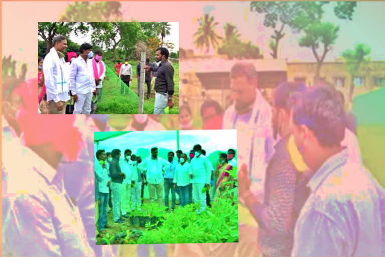 agriculture polytechnic college in malyal bhupalpalli district