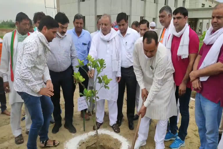 mla mohanlal badoli planted saplings in large industrial area sonipat