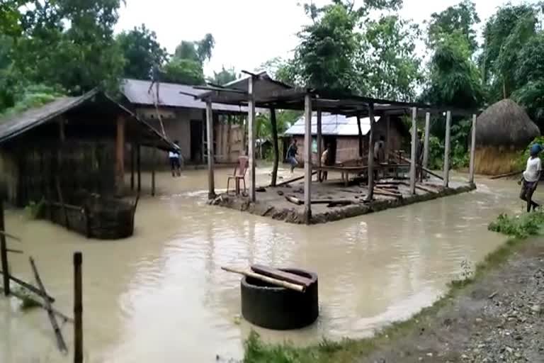 Aie river erosion Nepalpara villege in Chirang District