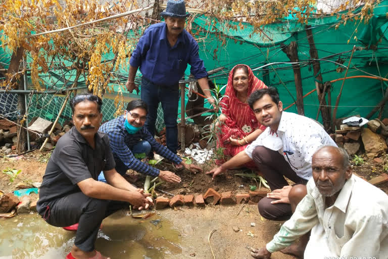 Plantation Program organized