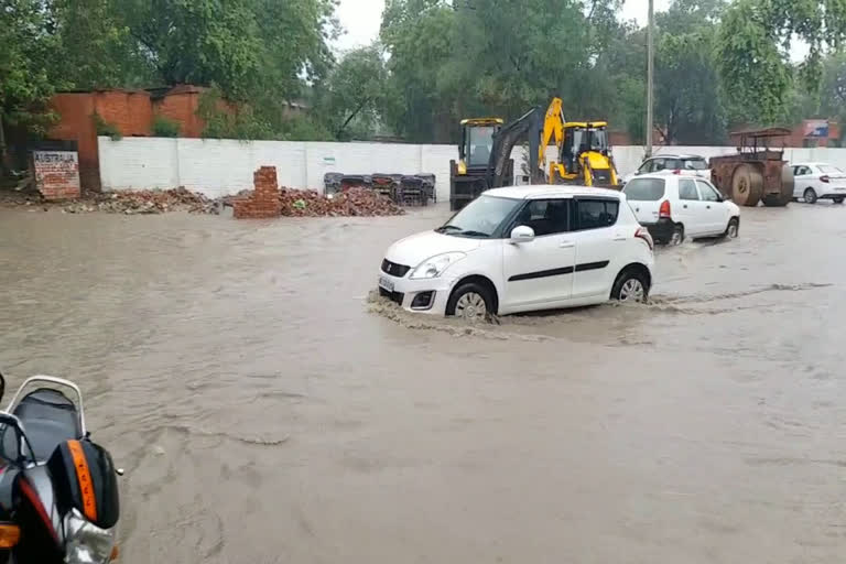 Paddy farmers happy with mansoon rain in sirsa