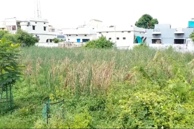 bhandara PWD department