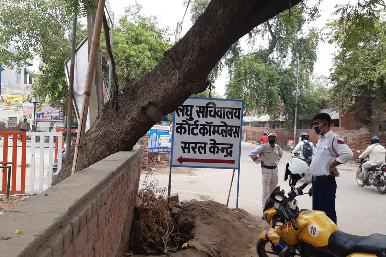 Charkhi Dadri Small Secretariat Weak tree can fall anytime