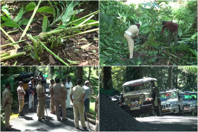 അടിമാലി പീച്ചാട് പ്ലാമല  പ്ലാമല ഭൂമി ഒഴിപ്പിക്കല്‍  ഏലകൃഷി വെട്ടി നശിപ്പിച്ചു  മൂന്നാര്‍ ഡിഎഫ്ഒ  മൂന്നാര്‍ ഡി.എഫ്.ഒ എം.വി.ജി കണ്ണന്‍  അടിമാലി റെയിഞ്ച് ഓഫീസ്  adimali peechad  plamala land issue