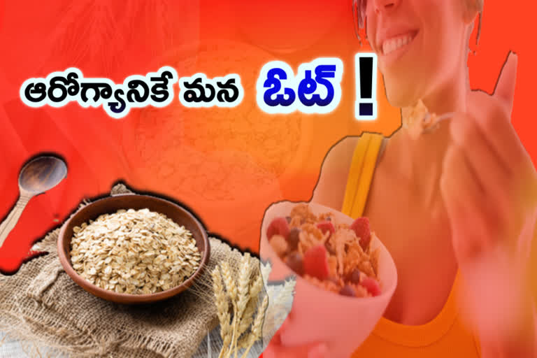 why-oats-are-better-than-rice-and-wheat