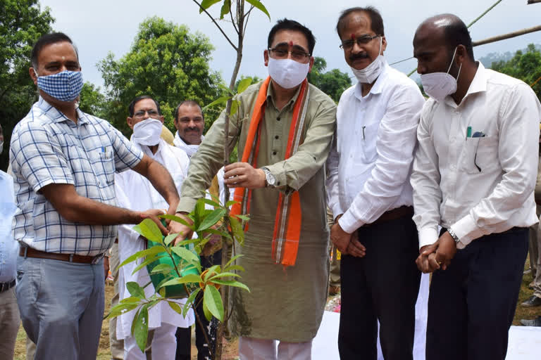 vipin singh parmar planted tree