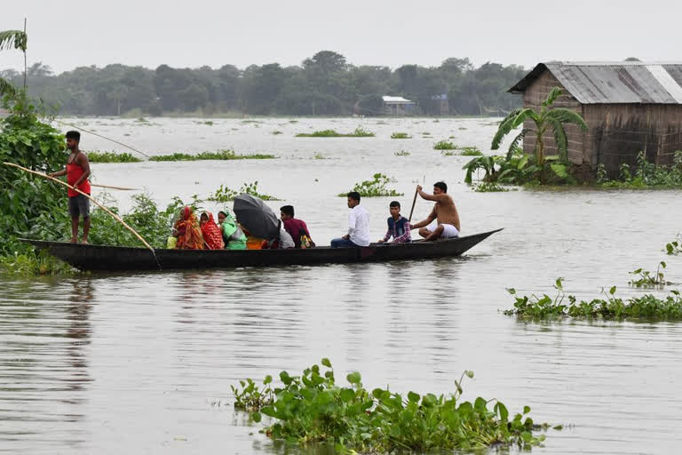 Unspecified number of deer swept away in swollen Ganga, 7 rescued: Officilas