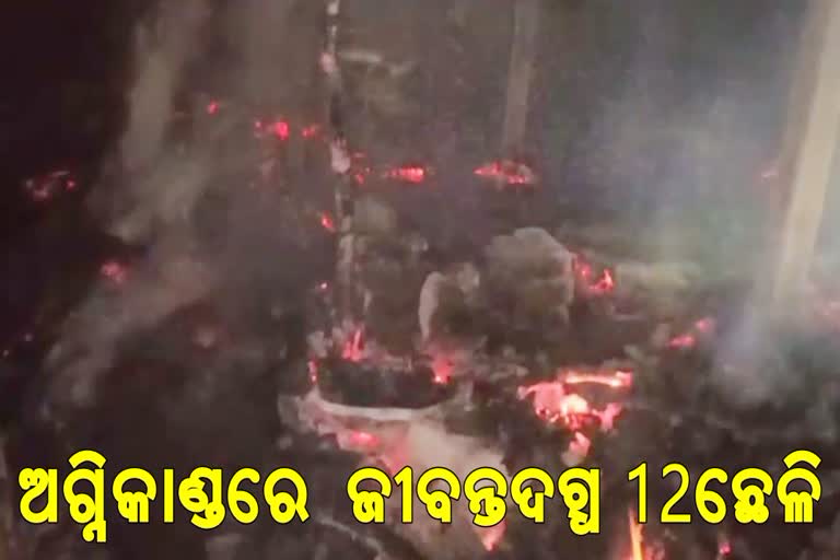 ଅଗ୍ନିକାଣ୍ଡରେ ଜଳିଗଲେ ୧୨ ଛେଳି