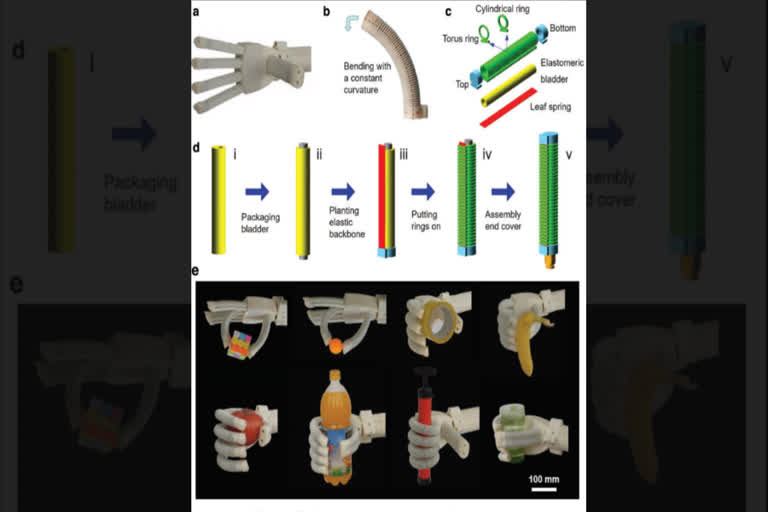 a robot with a soft touch,,Michigan State University engineers  developed a novel humanoid