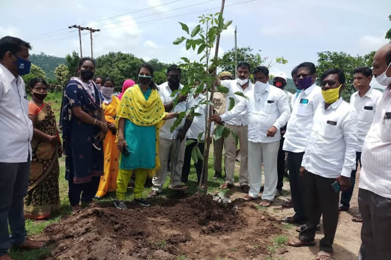 నాలుగు వందల మొక్కలతో హరితహారం కార్యక్రమం