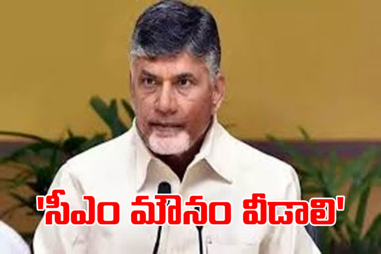 Chandrababu angry over attack on sc young man